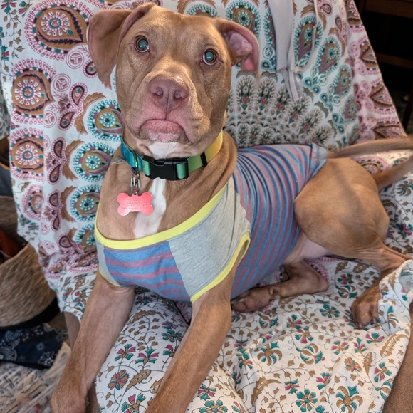 Meet your Posher, Ashley - Picture 1 of 1